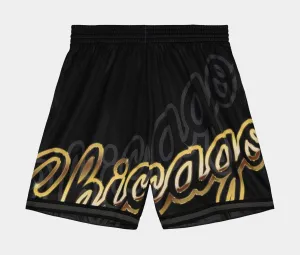 Big Face 4.0 Chicago Bulls Mens Shorts (Black)