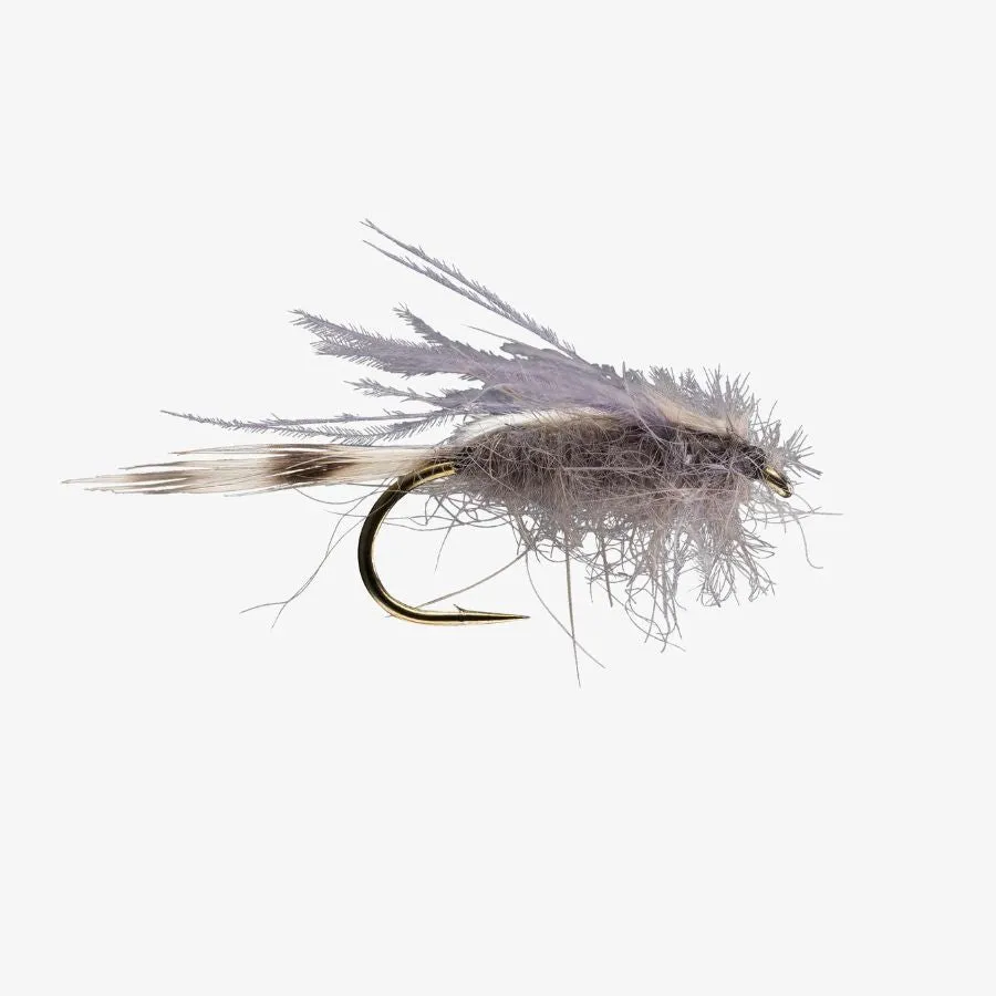 CDC Transition Midge - Size 18